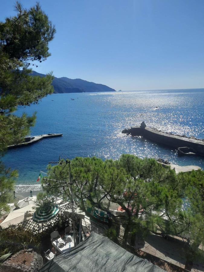 En Paradis Saint-Raphael (Var)
