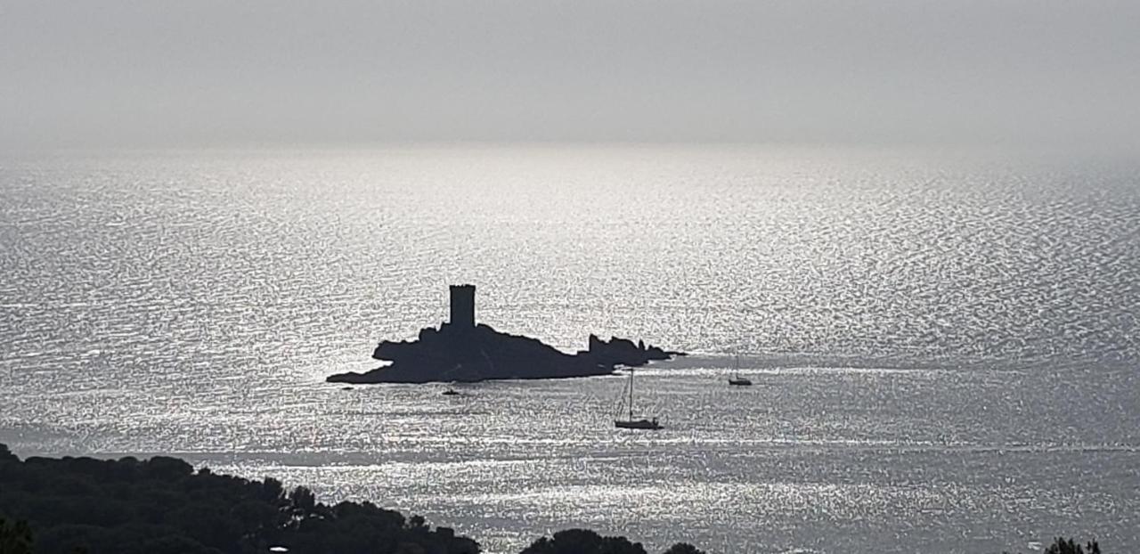 En Paradis * Saint-Raphael (Var)