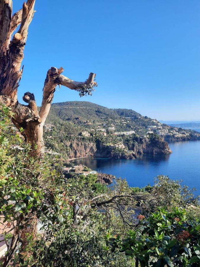 En Paradis Appartamento
